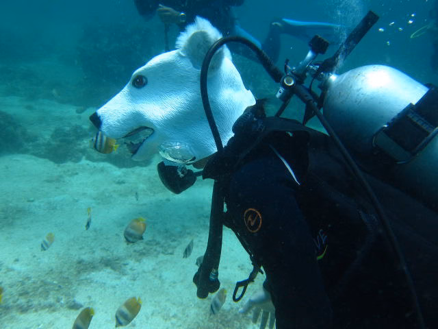 Boracay10