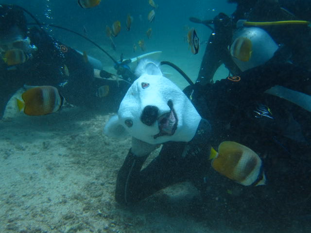 Boracay11