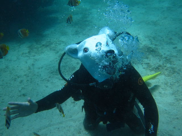 Boracay12