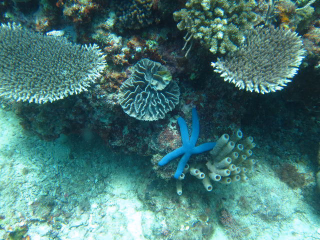 Boracay7