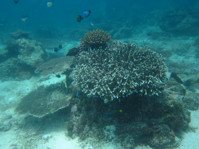 Boracay9