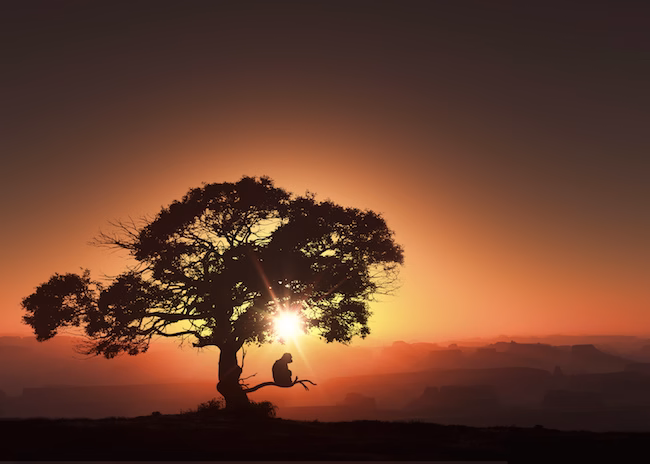 Fotolia_85461145_Subscription_Monthly_M