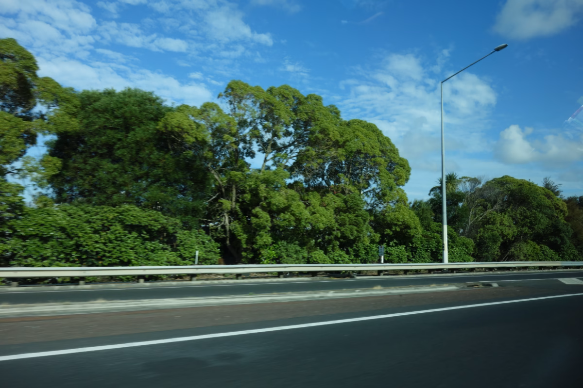 DSC00059