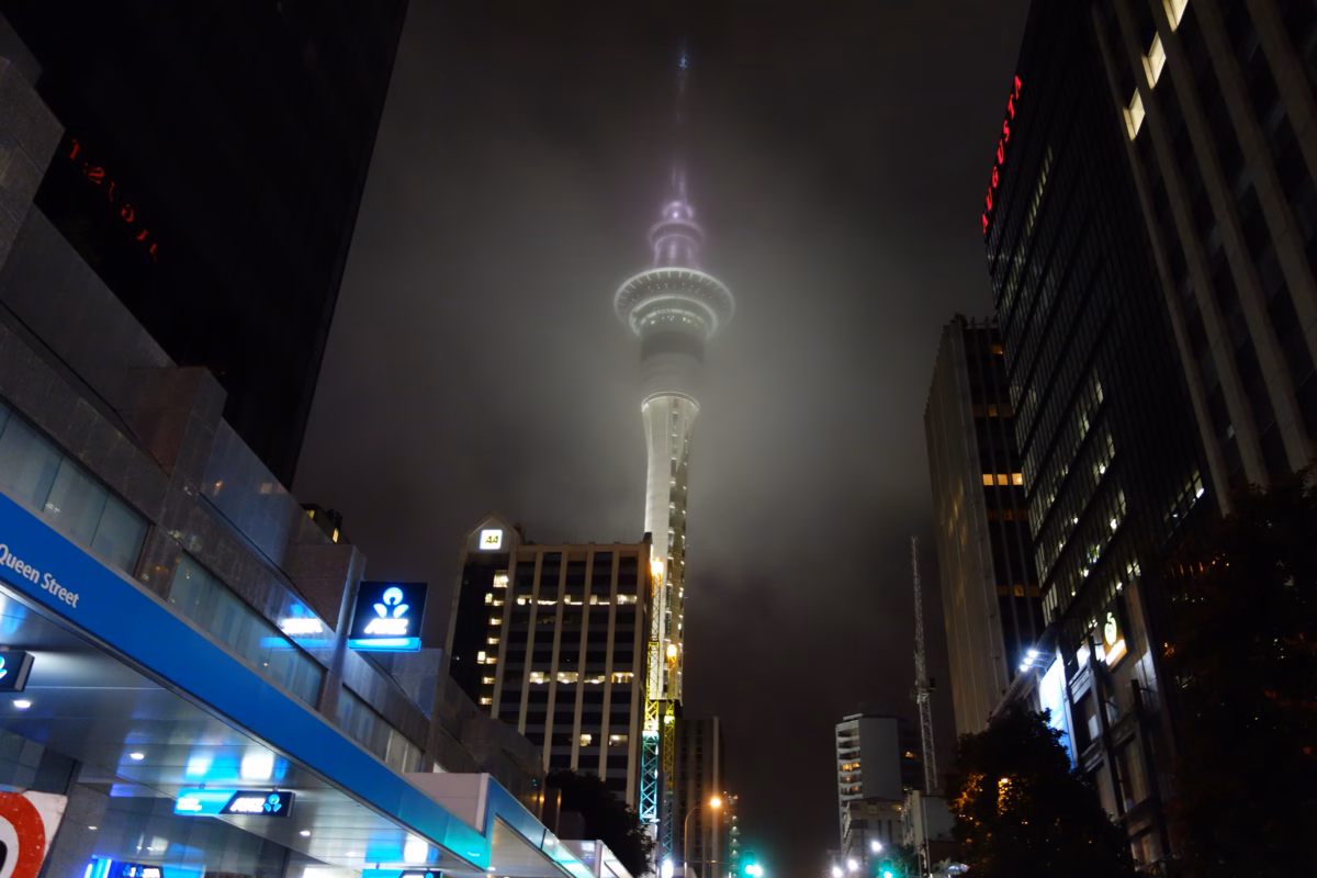 DSC00104