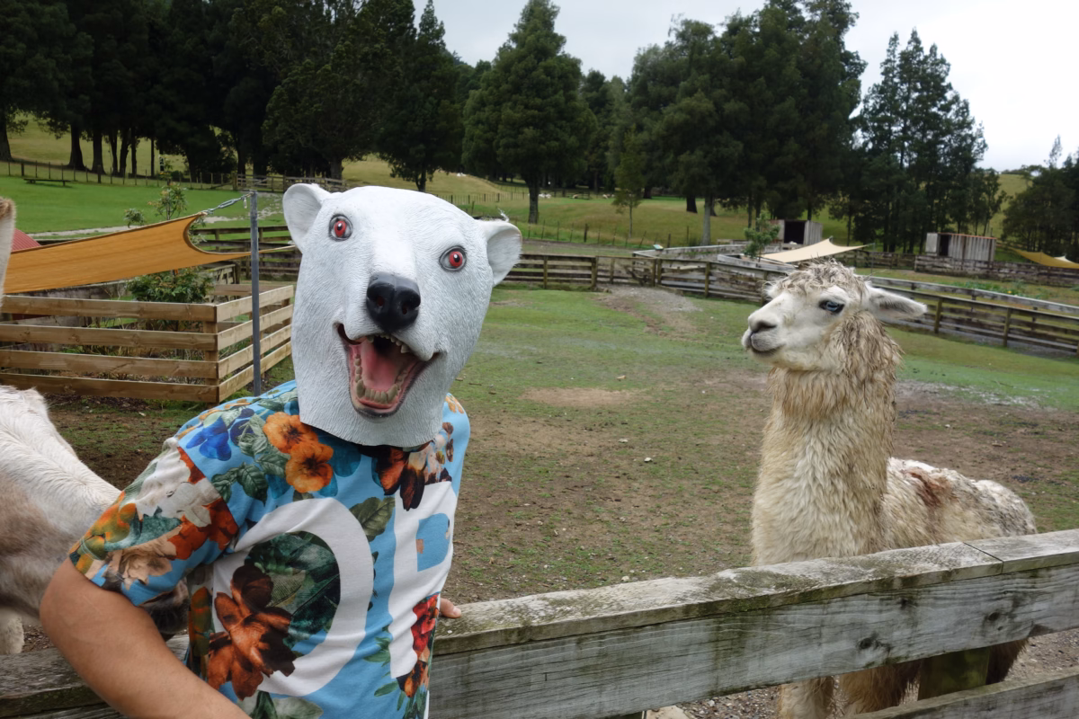 DSC00422